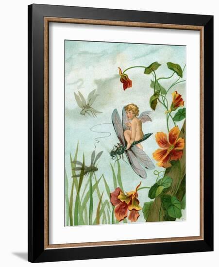 Winged Fairy Riding a Dragonfly Near Nasturtium Flowers, 1882-null-Framed Giclee Print