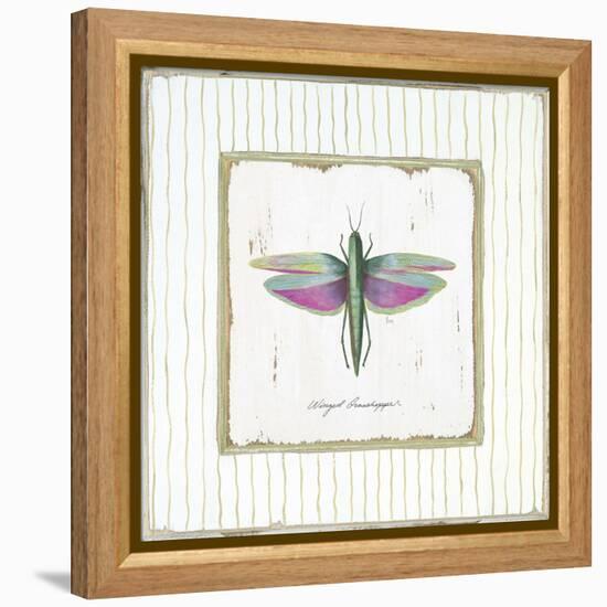 Winged Grasshopper-Jan Cooley-Framed Stretched Canvas