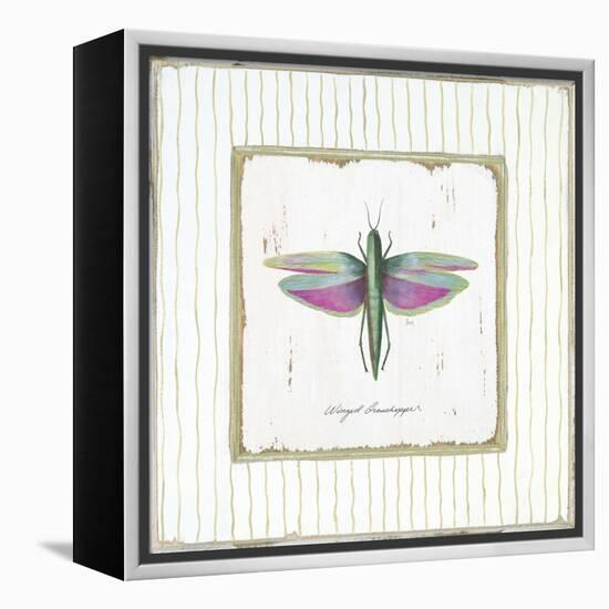 Winged Grasshopper-Jan Cooley-Framed Stretched Canvas