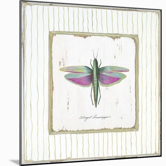 Winged Grasshopper-Jan Cooley-Mounted Art Print