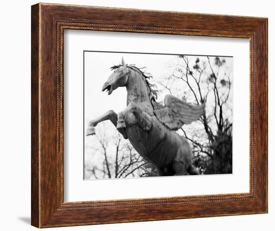 Winged Horse Statue, Mirabellgarten, Austria-Walter Bibikow-Framed Photographic Print