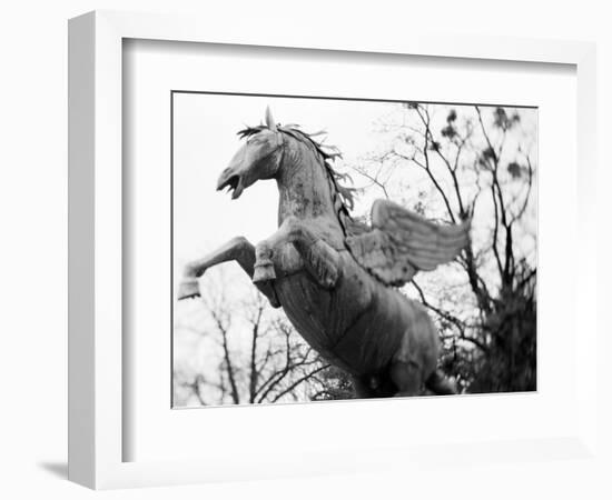 Winged Horse Statue, Mirabellgarten, Austria-Walter Bibikow-Framed Photographic Print