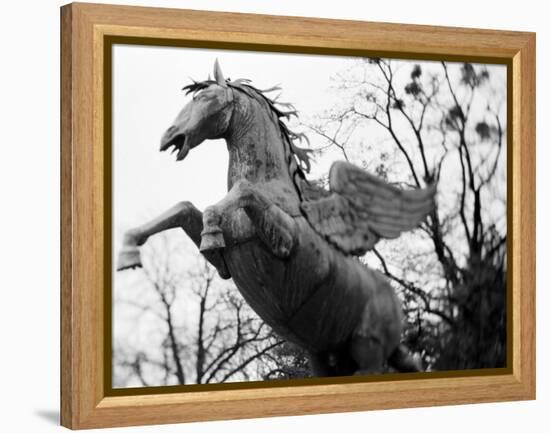 Winged Horse Statue, Mirabellgarten, Salzburg, Austria-Walter Bibikow-Framed Premier Image Canvas