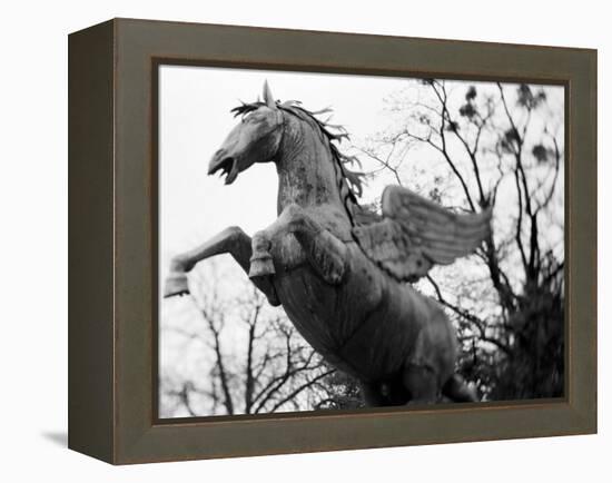 Winged Horse Statue, Mirabellgarten, Salzburg, Austria-Walter Bibikow-Framed Premier Image Canvas