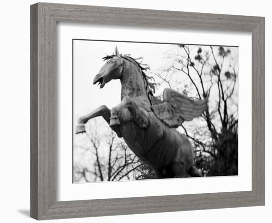 Winged Horse Statue, Mirabellgarten, Salzburg, Austria-Walter Bibikow-Framed Photographic Print