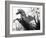 Winged Horse Statue, Mirabellgarten, Salzburg, Austria-Walter Bibikow-Framed Photographic Print