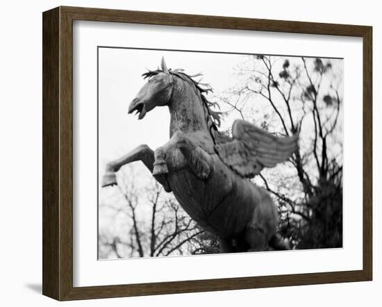 Winged Horse Statue, Mirabellgarten, Salzburg, Austria-Walter Bibikow-Framed Photographic Print