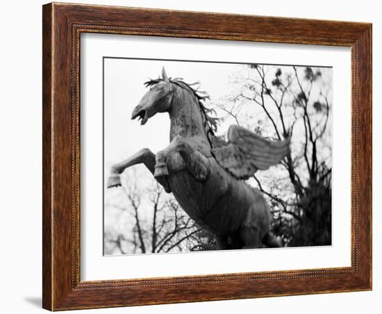 Winged Horse Statue, Mirabellgarten, Salzburg, Austria-Walter Bibikow-Framed Photographic Print