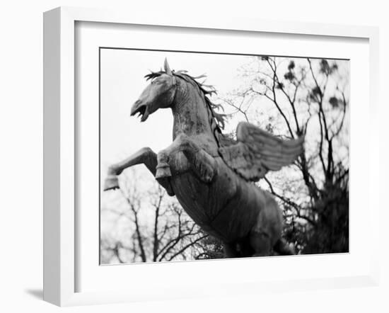 Winged Horse Statue, Mirabellgarten, Salzburg, Austria-Walter Bibikow-Framed Photographic Print