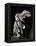 Winged Victory of Samothrace-null-Framed Premier Image Canvas