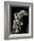 Winged Victory of Samothrace-null-Framed Photographic Print