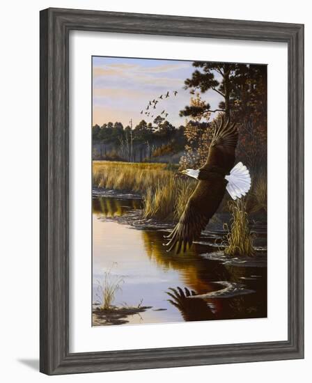 Wings of Autumn - Bald Eagle-Wilhelm Goebel-Framed Giclee Print