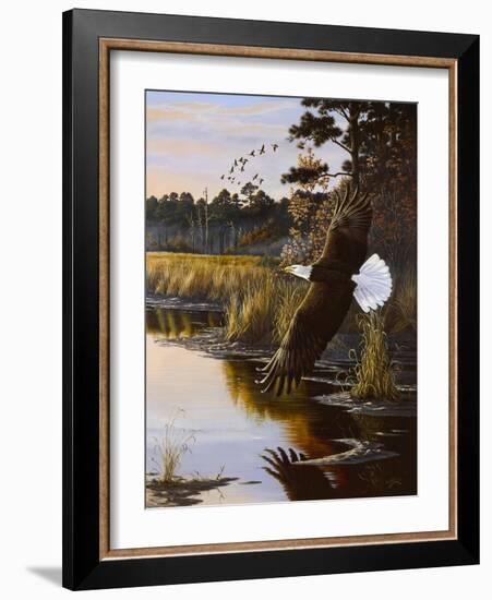 Wings of Autumn - Bald Eagle-Wilhelm Goebel-Framed Giclee Print