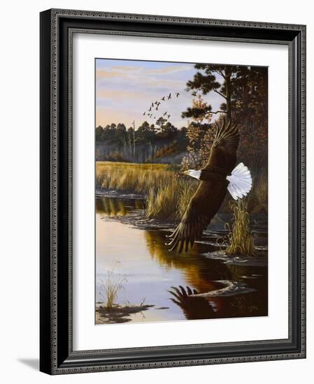 Wings of Autumn - Bald Eagle-Wilhelm Goebel-Framed Giclee Print