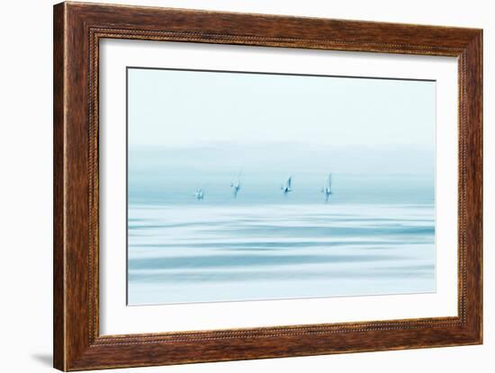 Wings of Silence-Jacob Berghoef-Framed Photographic Print