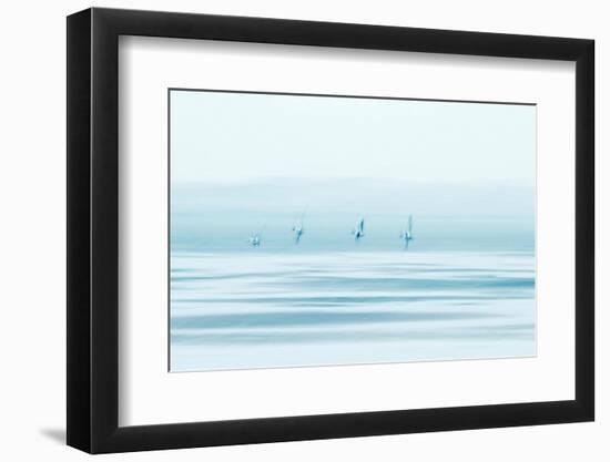 Wings of Silence-Jacob Berghoef-Framed Photographic Print