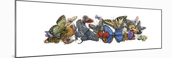 Wings of Splendor I-Wendy Russell-Mounted Art Print