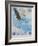 Wings over America-Tom Woodbury-Framed Giclee Print