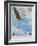 Wings over America-Tom Woodbury-Framed Giclee Print