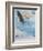 Wings over America-Tom Woodbury-Framed Giclee Print