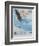 Wings over America-Tom Woodbury-Framed Giclee Print