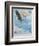 Wings over America-Tom Woodbury-Framed Giclee Print