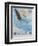 Wings over America-Tom Woodbury-Framed Giclee Print