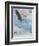 Wings over America-Tom Woodbury-Framed Giclee Print