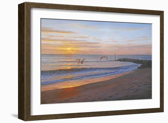 Wings over Captiva-Bruce Dumas-Framed Giclee Print