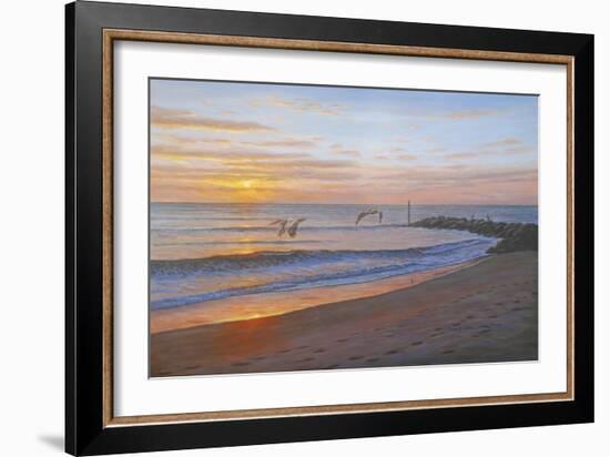 Wings over Captiva-Bruce Dumas-Framed Giclee Print