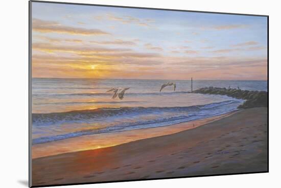 Wings over Captiva-Bruce Dumas-Mounted Giclee Print