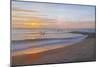 Wings over Captiva-Bruce Dumas-Mounted Giclee Print