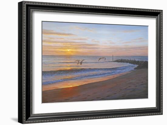 Wings over Captiva-Bruce Dumas-Framed Giclee Print