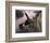 Wings Over the St. Croix-Kevin Daniel-Framed Giclee Print