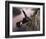 Wings Over the St. Croix-Kevin Daniel-Framed Giclee Print