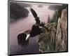 Wings Over the St. Croix-Kevin Daniel-Mounted Art Print
