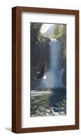 Wings over Water-Terry Isaac-Framed Art Print