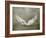 Wings White Old-Style Vector-Nataliia Natykach-Framed Art Print