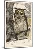 Winking Owl Perched on a Branch, by the Look of It It's an Eagle Owl-A Weisgerber-Mounted Art Print