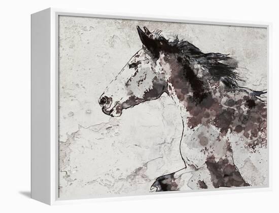 Winner Horse I-Irena Orlov-Framed Stretched Canvas