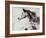 Winner Horse I-Irena Orlov-Framed Art Print