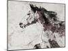 Winner Horse I-Irena Orlov-Mounted Art Print