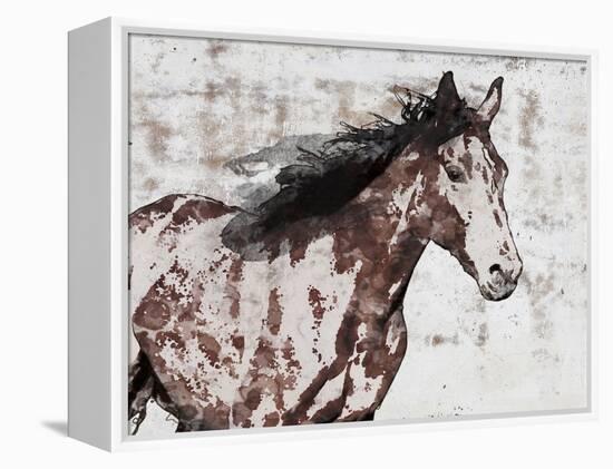 Winner Horse III-Irena Orlov-Framed Stretched Canvas