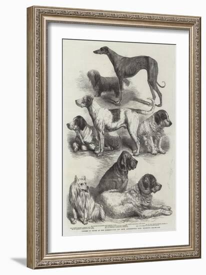 Winners of Prizes at the International Dog Show, Agricultural Hall, Islington-Harrison William Weir-Framed Giclee Print