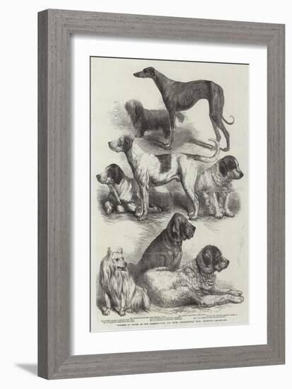 Winners of Prizes at the International Dog Show, Agricultural Hall, Islington-Harrison William Weir-Framed Giclee Print