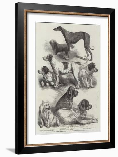 Winners of Prizes at the International Dog Show, Agricultural Hall, Islington-Harrison William Weir-Framed Giclee Print