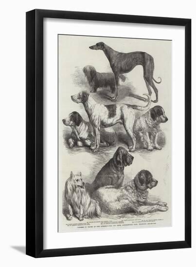 Winners of Prizes at the International Dog Show, Agricultural Hall, Islington-Harrison William Weir-Framed Giclee Print