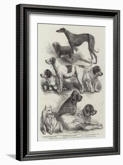 Winners of Prizes at the International Dog Show, Agricultural Hall, Islington-Harrison William Weir-Framed Giclee Print
