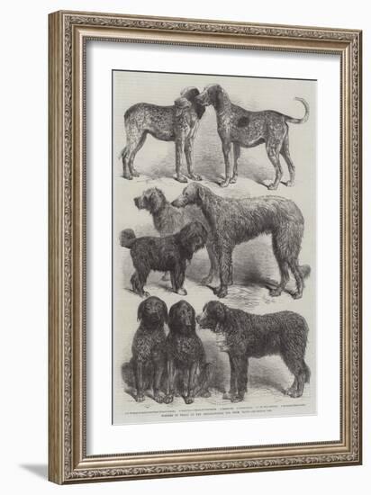 Winners of Prizes at the International Dog Show, Paris-Harrison William Weir-Framed Giclee Print