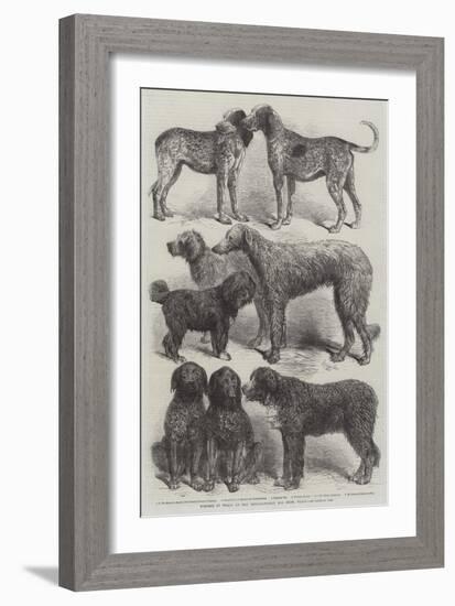 Winners of Prizes at the International Dog Show, Paris-Harrison William Weir-Framed Giclee Print